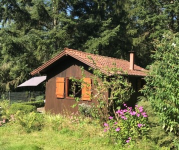 BEREITS VERKAUFT/VERMIETET Gartengrundstück in ruhiger Lage mit   wunderschönem Häuschen